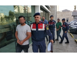 İnek Hırsızları Jandarma Tarafından Yakalandı