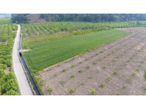 Muğla’da 121 Bin 3000 Dekar Tarım Arazisi Sulandı