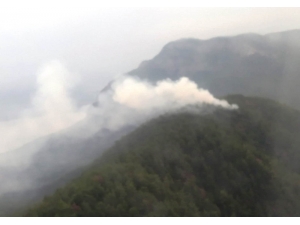 Aydın Ve Muğla’da Yıldırım 8 Ormanına Neden Oldu