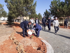 Altıntaş’ta Mesire Alanına Gül