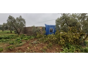Şişe Yüklü Tır Zeytin Bahçesine Devrildi