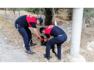 13 Metrelik Kör Kuyuya Düşen Köpeği İtfaiye Kurtardı