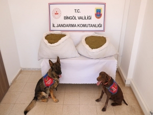 Bingöl’de Uyuşturucudan 109 Şüpheli Tutuklandı