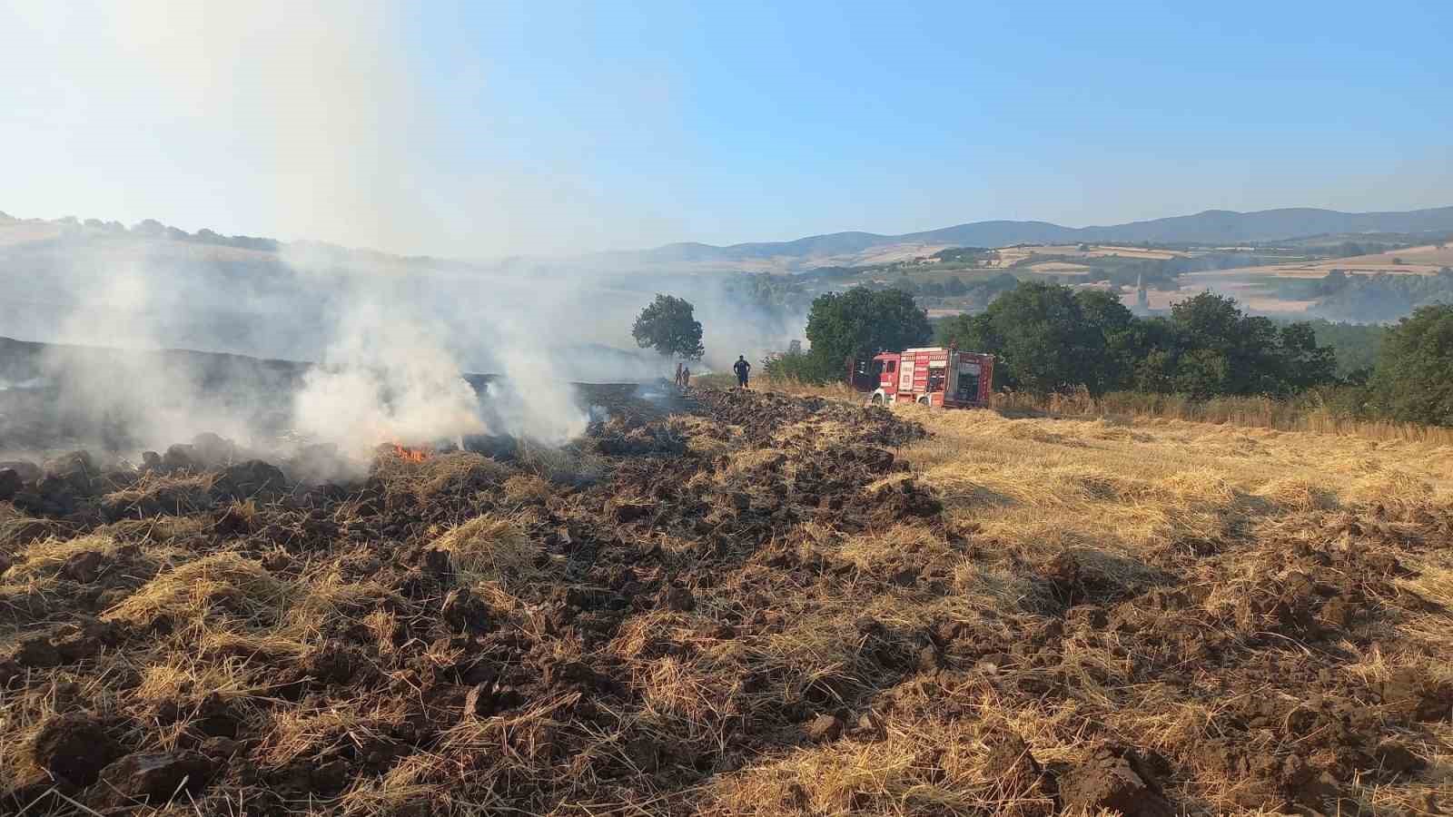 bandirma-da-bugday-tarlasinda-cikan-yangin-ekiplerin-mudahalesiyle-sonduruldu