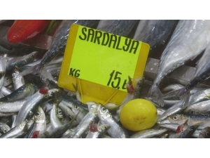 Sardalyanın Kilosu 15 Liraya Düştü