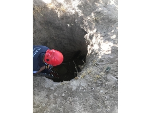 Definecilerin Açtığı Kuyuya Düşen Köpek Kurtarıldı