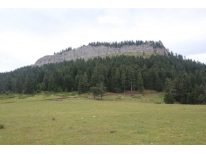 İsfendiyar Dağları’nın Saklı Güzelliği: Türkeli Hacıağaç Yaylası