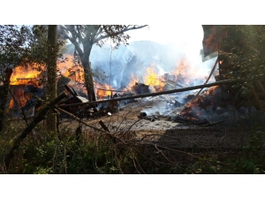 Defnedildiği Gün Evi Yandı