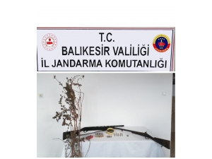 Ayvalık’ta Uyuşturucu Operasyonu