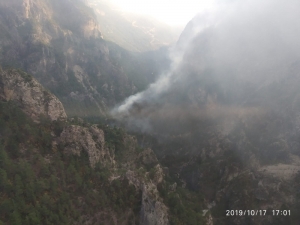 Yıldırım Düşmesi Sonucu Orman Yangını Çıktı