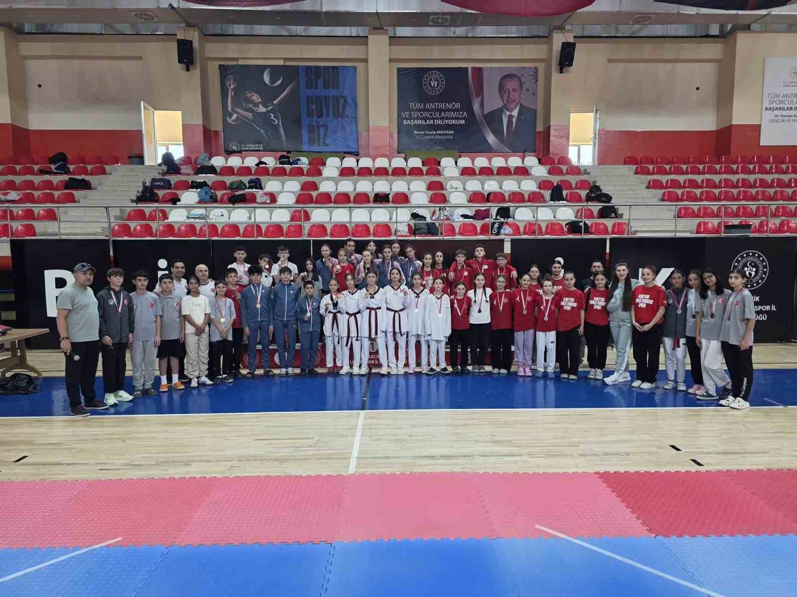 analig-taekwondo-il-secmeleri-tamamlandi