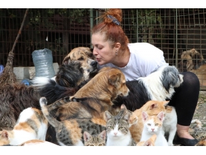 Hayvanların Kraliçesi