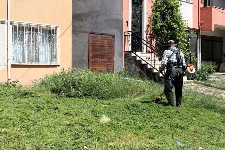 sogut-te-cim-bicme-ve-ilaclama-calismalari-araliksiz-devam-ediyor