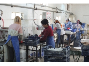 Bu Fabrikada Çalışanların Tamamı Kadın