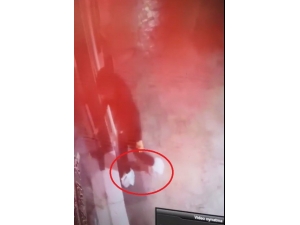 Poşetli Telefon Hırsızı Kamerada