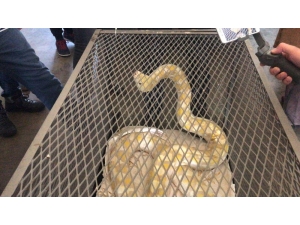 Kapıkule’de Bulgar Plakalı Araçtan Çıkanlar Şok Etti