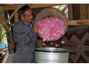 Pembe Isparta Gülü İçin ‘Kırmızı Alarm’