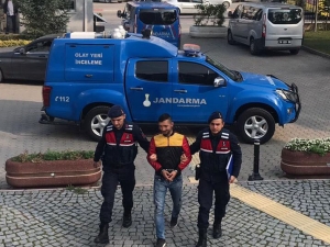 Jandarma Hırsızı Ağaç Kovuğunda Yakaladı