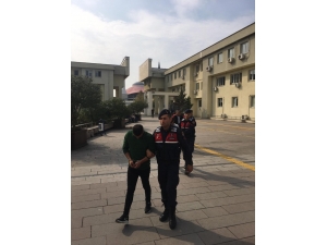 Fındık Hırsızları Yakalandı: 3 Tutuklama