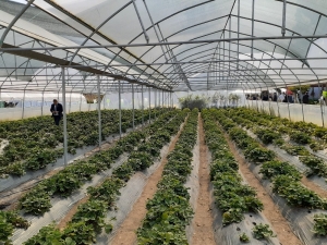 Dokap Ordu’da Meyve-sebze Bahçeleri Kuracak