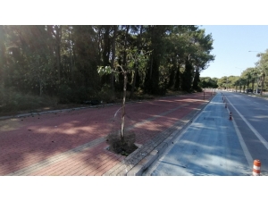 19 Yaşındaki Seher’in Ölümünde Şok Gelişme