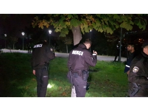 Şehir Merkezinde Saatlerce Ayı Aradılar