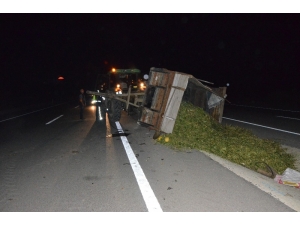 Traktör Römorku Devrildi, Tonlarca Mısır Silajı Yola Saçıldı