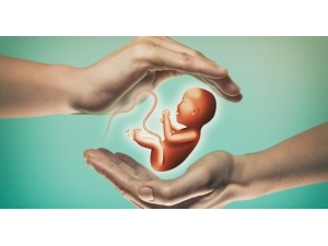 Tüp Bebek Tedavisi İle Hayallerinizi Gerçekleştirin