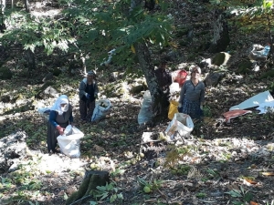 Coğrafi İşaretli Simav Kestanesinde Erken Hasat