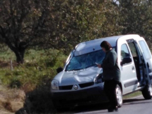 Hafif Ticari Aracın Çarptığı Geyik Telef Oldu