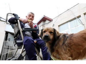 O İkiliden Geriye Sadece Fotoğraflar Kaldı