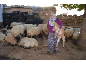 Siirtli Kadın Çiftçinin Projesi Türkiye İkincisi Oldu