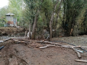 Bingöl’de Taşkın Ahıra Zarar Verdi