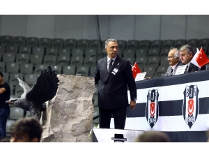 Ahmet Nur Çebi Kolları Sıvadı