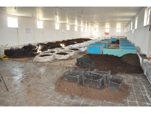 Afyonlu Üreticiler Avrupa Ve Asya Ülkelerine Solucan Gübresi İhracatına Hazırlanıyor