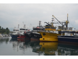 Balıkçılar, Sezondan Beklediklerini Bulamıyor