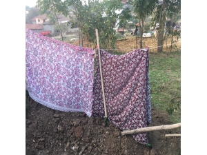 Anne Bahçesinde Define Avcılığı