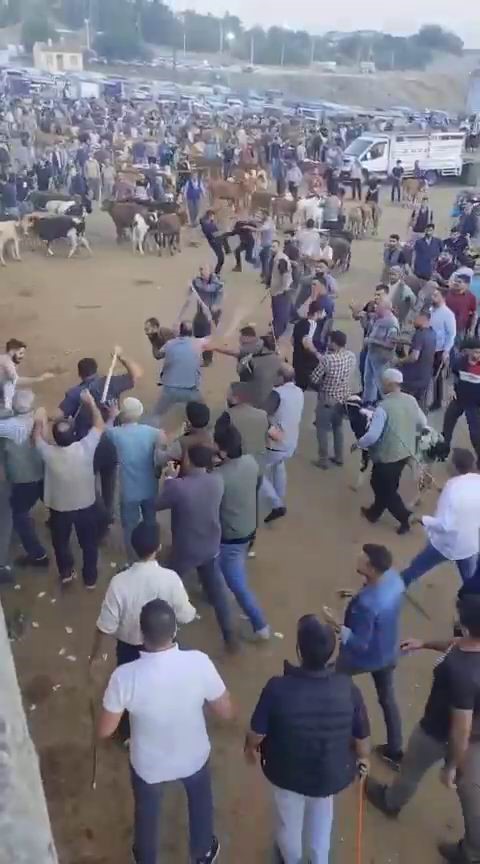diyarbakir-canli-hayvan-borsasi-nda-alacak-verecek-kavgasi-ortalik-savas-alanina-dondu