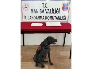 Bebek Çantasından Uyuşturucu Çıktı