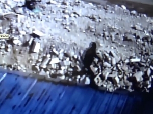 Örümcek Adam Gibi Hırsız