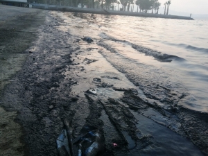 Petrol Türevi Atıklar Denize Sızmıştı, Firmaya 150 Bin Lira Ceza Yolda