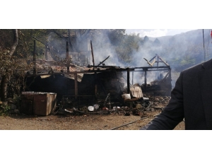 3 Yaşındaki Çocuk Yangında Hayatını Kaybetti