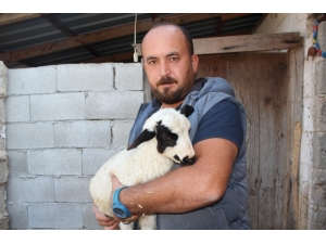 Köyüne Hizmet İçin Kamu Kurumundan İstifa Etti