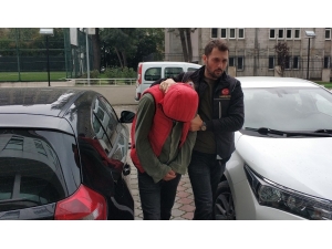 Samsun’da Bonzai Üretimiyle İlgili 1 Kişi Tutuklandı