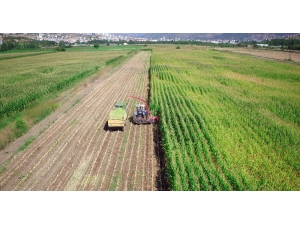 Tokat’ta 243 Bin 490 Dekar Tarım Arazisi Sulandı