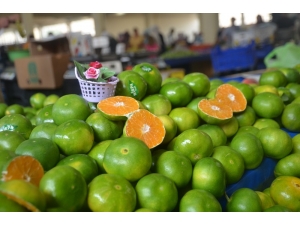 Kışın “C” Vitamini Deposu Mandalina Tezgahlarda Yerini Aldı