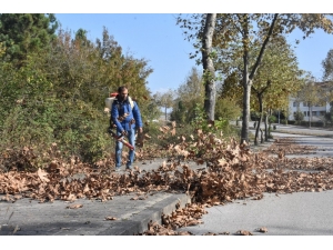 Belediyeden Sonbahar Temizliği
