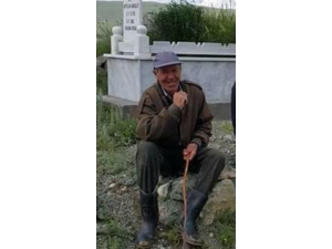 Sarıkamış’ta Ayı Saldırısı: 1 Ölü