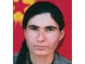 Mit Ve Tsk’dan Pkk’ya Ağır Darbe