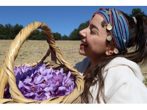 Mutluluk İksiri: Safran